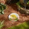 Home Sweet Home Stepping Stone - Decorative Garden Pathway Stone for Outdoor Home Decor